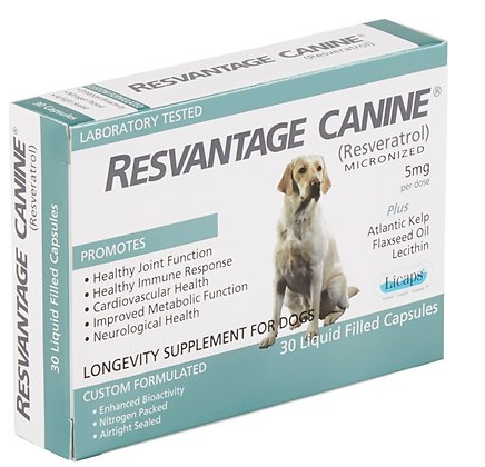 RESVANTAGE CANINE